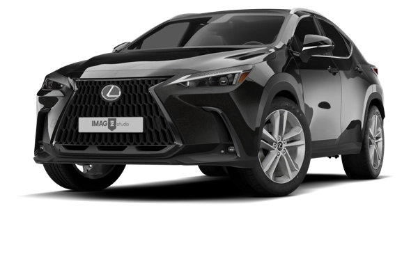 LEXUS NX200T