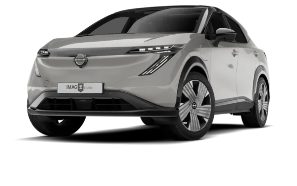 NISSAN MP300