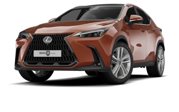 LEXUS NX 300H