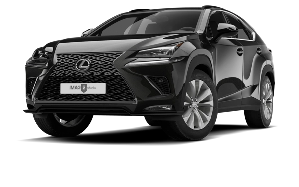 LEXUS NX 300